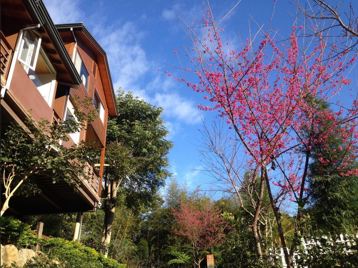 Walk Cloud Bed And Breakfast Meishan Exterior photo